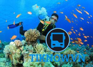 Thế giới biển thu nhỏ ở Nha Trang