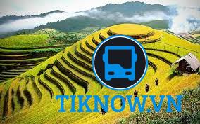Đồi Mâm Xôi- biểu tượng của Mù Cang Chải