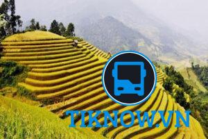 Mù Cang Chải mùa lúa chín