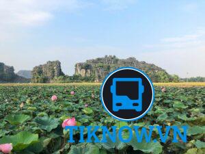 Du lịch Ninh Bình mùa sen nở